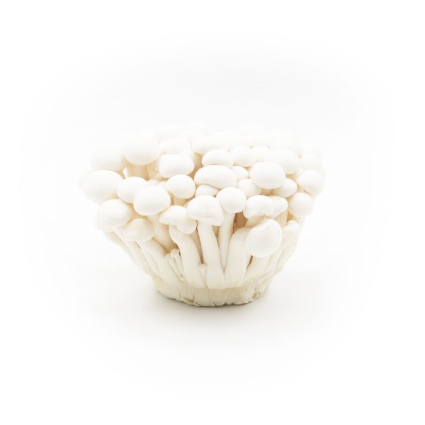 Cogumelos Shimeji Branco 150G