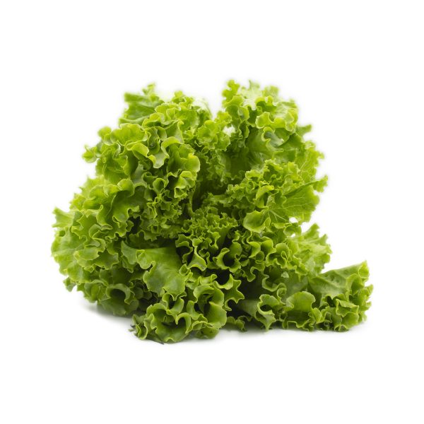 Alface Frisada