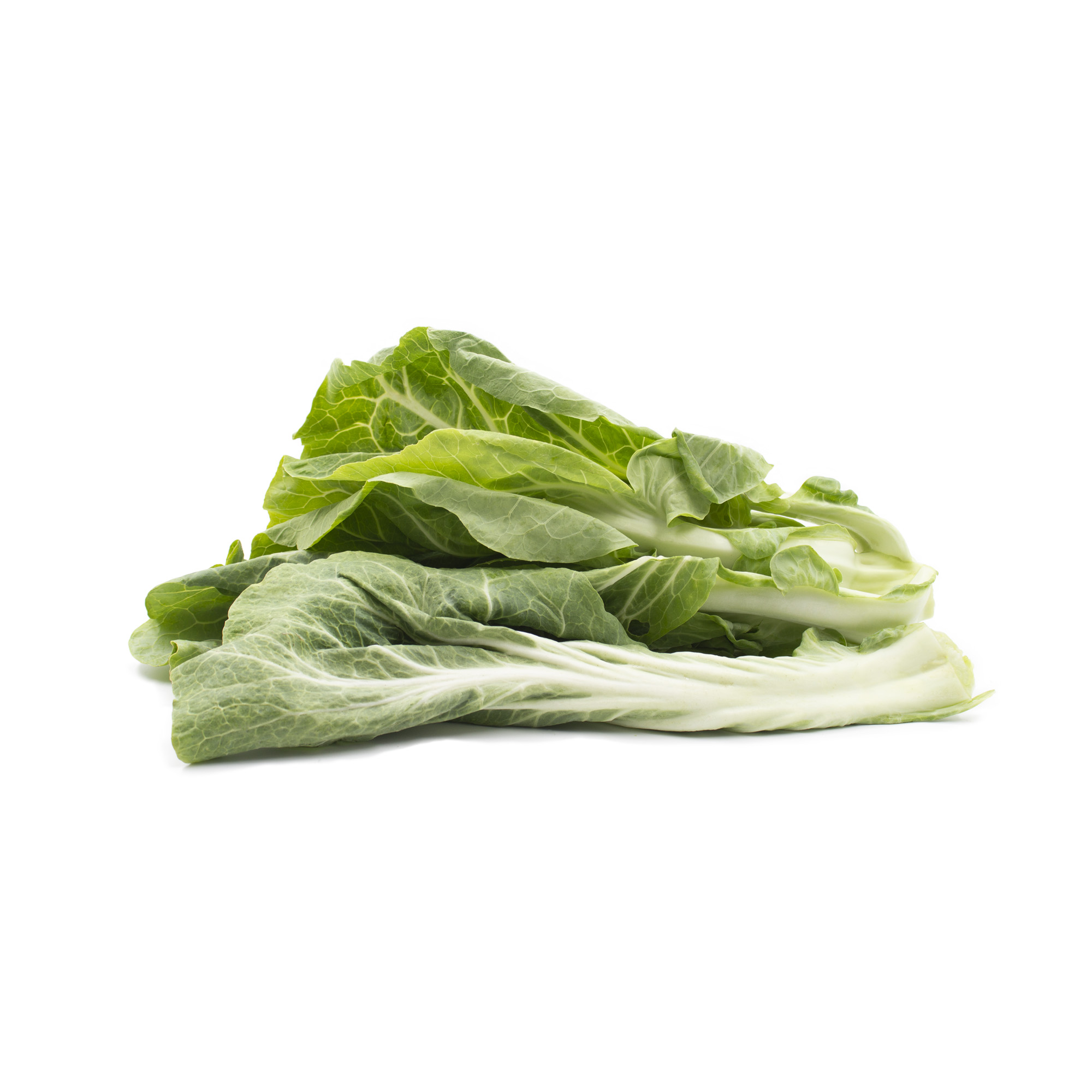 LCP002 - Couve Penca