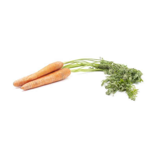 Cenoura Com Rama