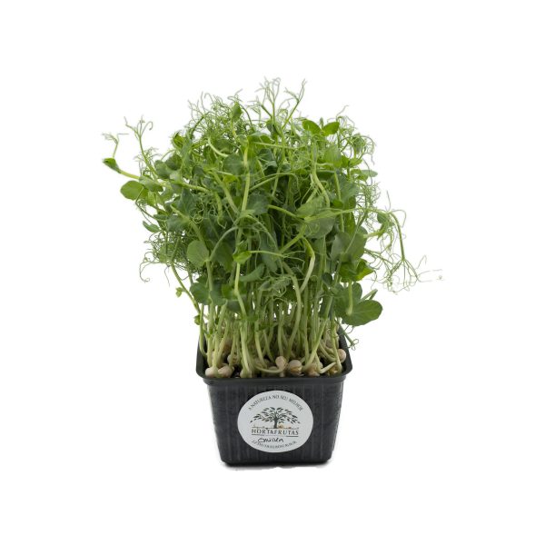 Micro Ervilha 30G